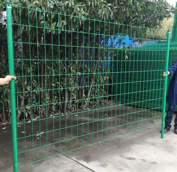 �F�z�W�o�ھW�r��