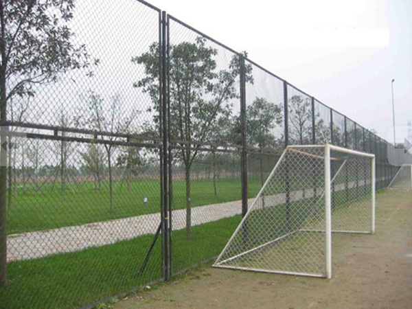 �����(ch��ng)���ھW(w��ng)